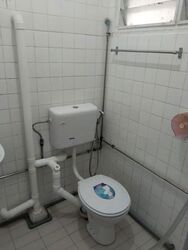 Blk 827 TAMPINES GROVE (Tampines), HDB 3 Rooms #637706611